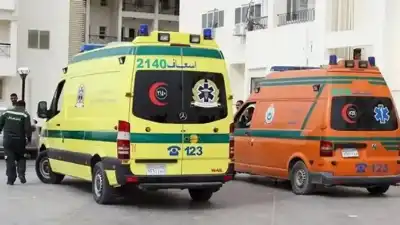 ناجية من حادث مروري في مصر..