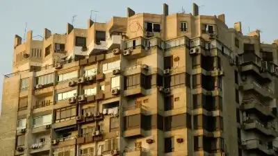 مصر.. شقيق جمال عبد الناصر يتعرض