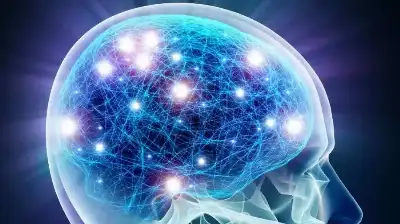 دراسة تكشف مفاجأة: الدماغ يبقى في