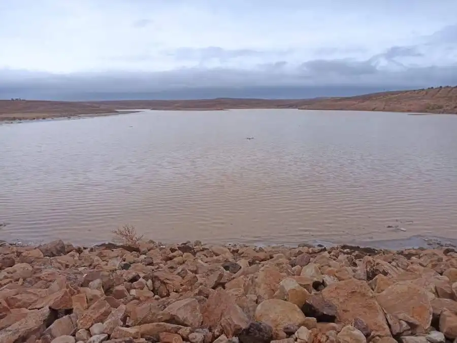 مدار الساعة,أخبار الأردن,اخبار الاردن,الحالة الجوية,وزارة المياه والري,سلطة وادي الأردن,وزارة المياه,وكالة الأنباء الأردنية,وادي الأردن