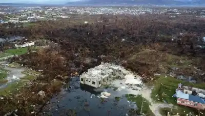 حرائق كاليفورنيا تتصدر الكوارث المناخية عالميا