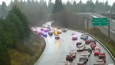 سرق دورية وألقى بضابطة خارجها.. تفاصيل