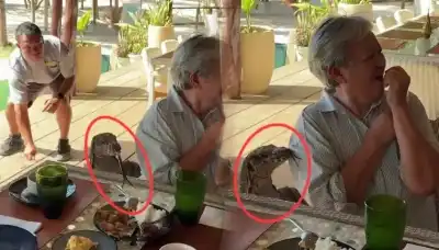 ضيف غير مدعو: (ورل) ضخم يقتحم