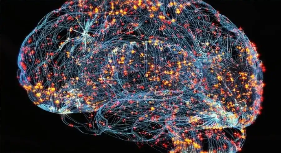 مدار الساعة,أخبار الصحة والأسرة