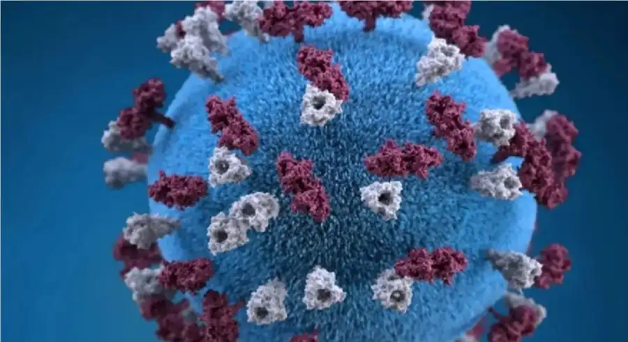 مدار الساعة,أخبار خفيفة ومنوعة,وزارة الصحة