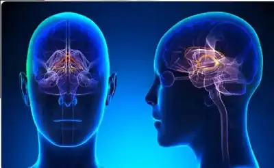 كيف تهدف مشاهد الفاحشة إلى تعطيل