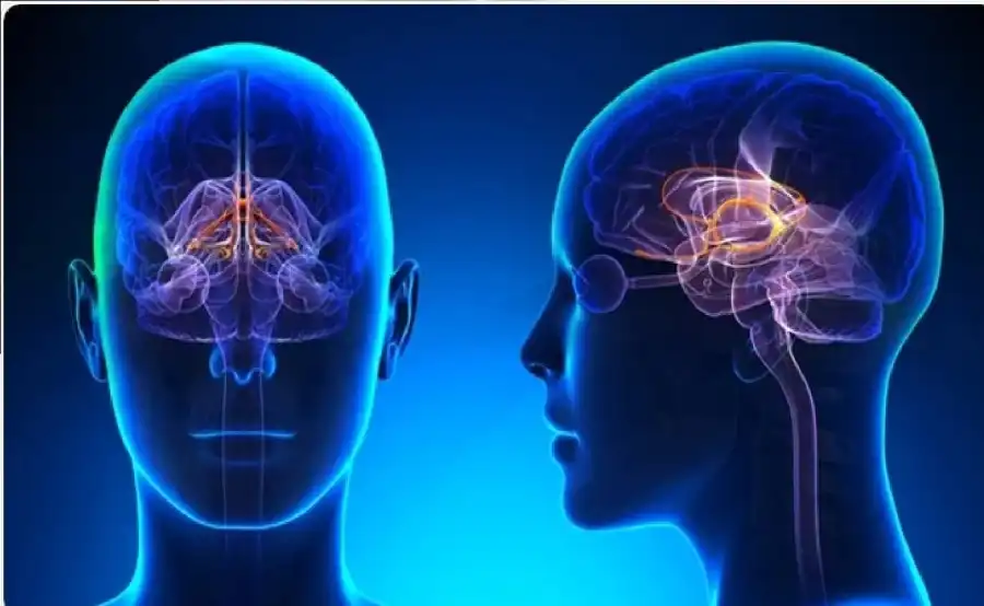 مدار الساعة,شؤون دينية