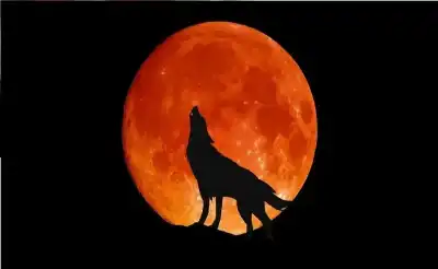 لا تفوتوا المشهد: قمر الذئب يضيء