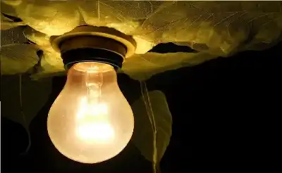 عدو خفي في غرف نومنا: الضوء