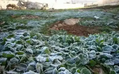 الاغوار الشمالية: قلق متزايد من تعرض