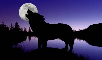 ظاهرة فلكية نادرة: قمر الذئب يضيء