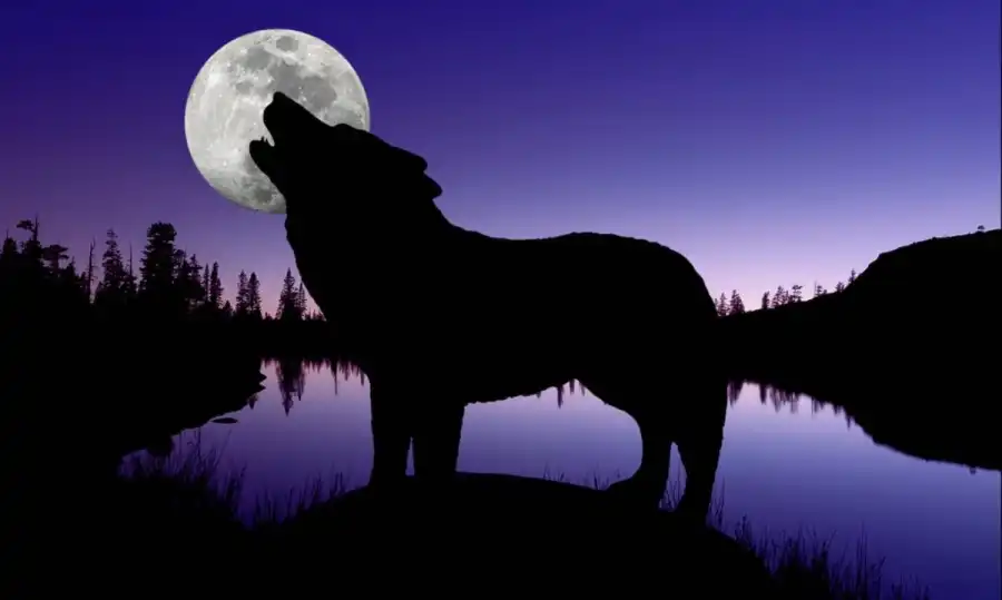 مدار الساعة,أخبار خفيفة ومنوعة