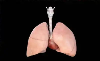 رئة في مختبر: ابتكار نموذج رئوي