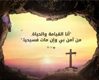 وفاة ابن اخت الصحفية رانيا تادرس