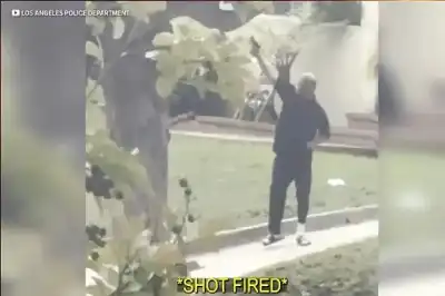 بعد مواجهة لـ 4 ساعات.. كلب