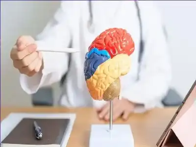 علاقة الساعة البيولوجية بالخرف: لماذا يرتفع