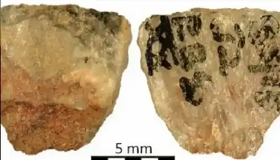 كيمياء الموت قبل 60 ألف عام: