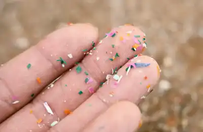 من مصادر غذائية لا تخطر على