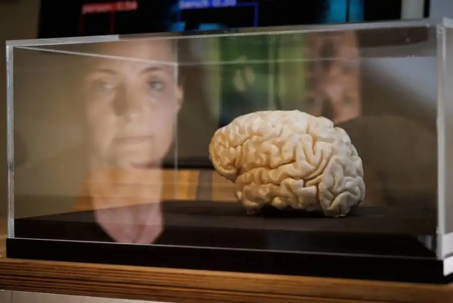 مدار الساعة,أخبار الصحة والأسرة,شركات التكنولوجيا,الذكاء الاصطناعي