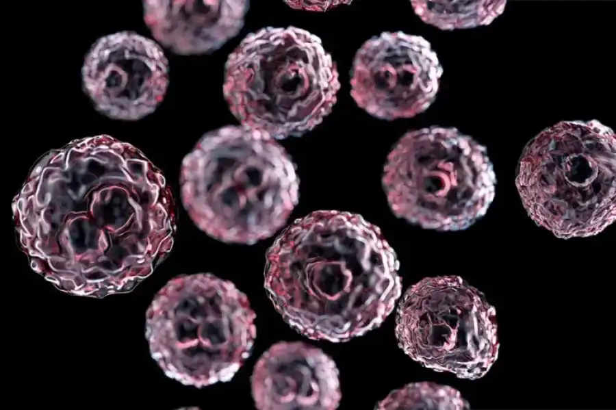 مدار الساعة,أخبار الصحة والأسرة