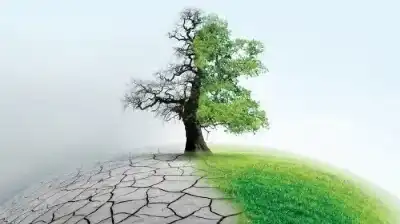 خبراء: الأمطار فرصة لتعزيز الإنصاف المناخي