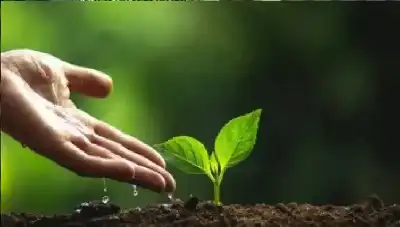 هل العمل ثمن للجنة أم سبب