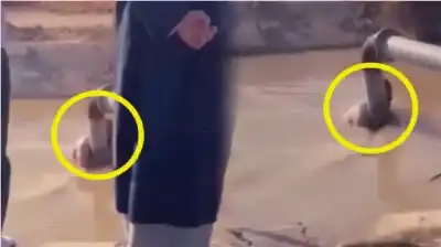 رفض الخروج من الماء.. أب مفجوع