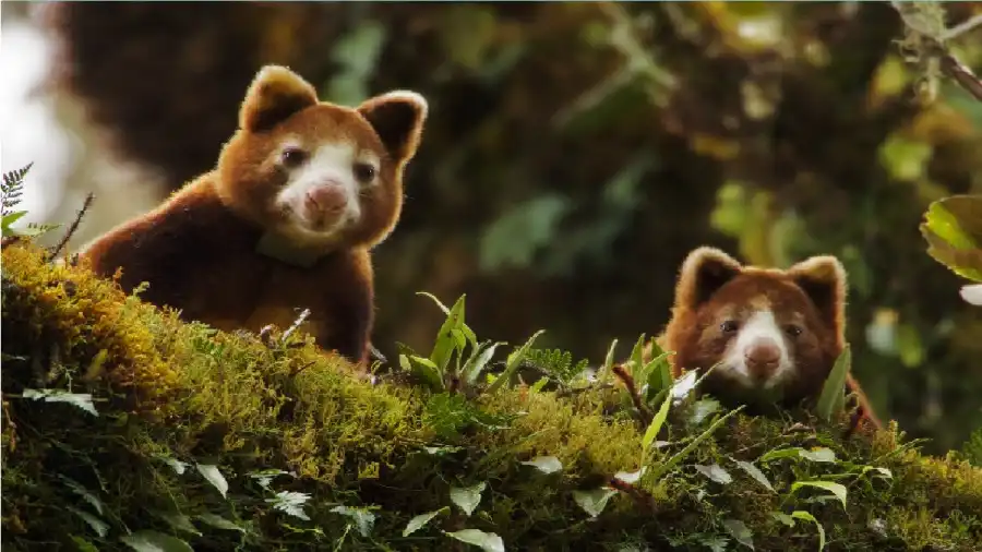 مدار الساعة,أخبار خفيفة ومنوعة