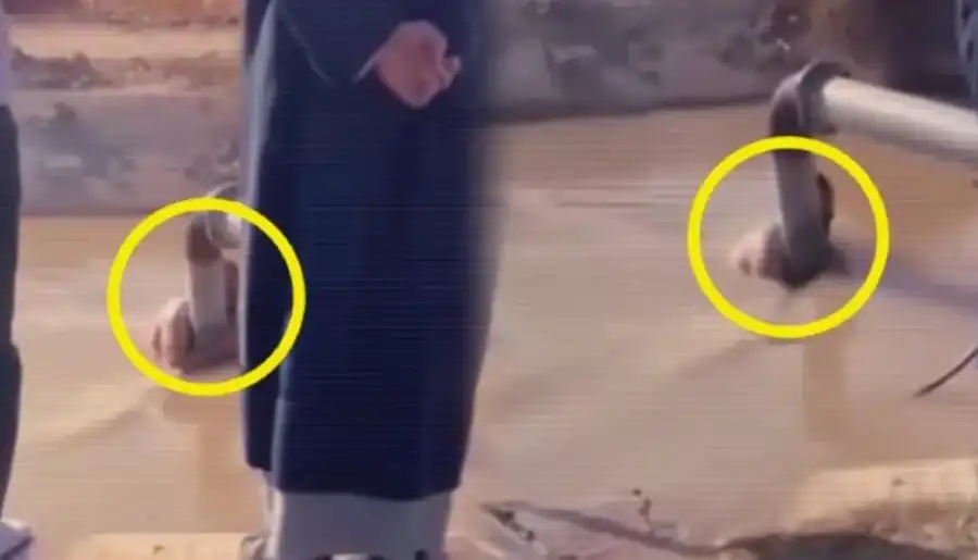 مدار الساعة,أخبار خفيفة ومنوعة