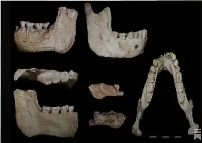 كشف أثري في المغرب يسد فجوة