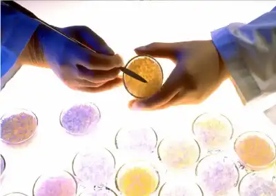 من مخلفات الحدائق إلى قطع غيار