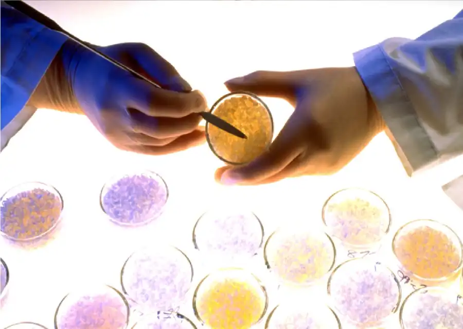 مدار الساعة,أخبار خفيفة ومنوعة