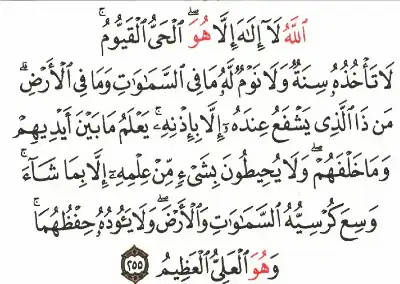 ما حكم شرب ماء وضعت فيه