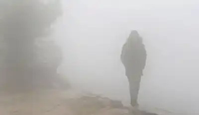 قطع حركة السير باتجاه حدود العمري