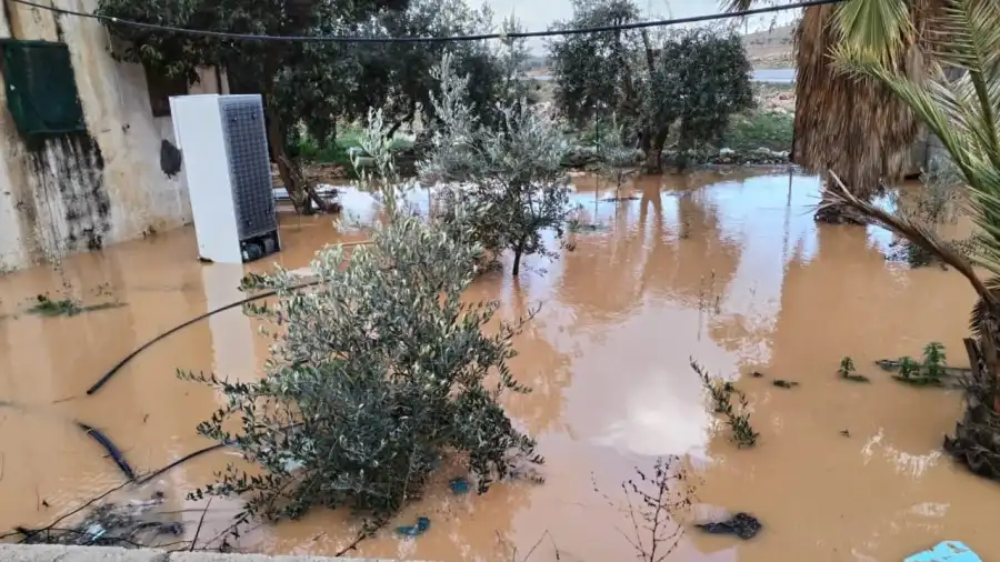 مدار الساعة,أخبار الأردن,اخبار الاردن