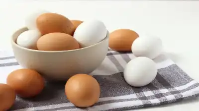 الأردن.. 332 مليون بيضة منتجة العام