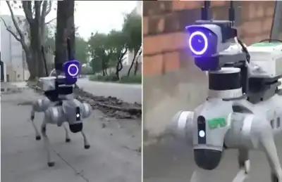 روبوتات وذكاء اصطناعي لحماية الطبيعة.. هونغ