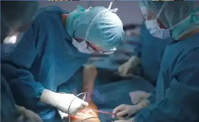 خمسة أعضاء فقط تفصل الإنسان عن