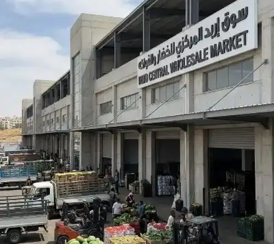 بالفيديو، فرصة استثمارية نوعية في إربد