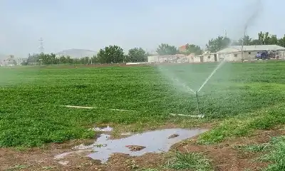 تحذير مهم.. من سلطة وادي الأردن