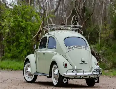 هل تذكرون هذه اللطيفة؟ الخنفساء صارت