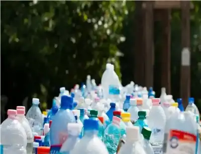 خديعة إعادة التدوير.. مسؤولة أمريكية تكشف