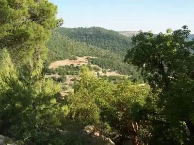 خبراء بيئة وزراعة: تعزيز الرقابة وحماية