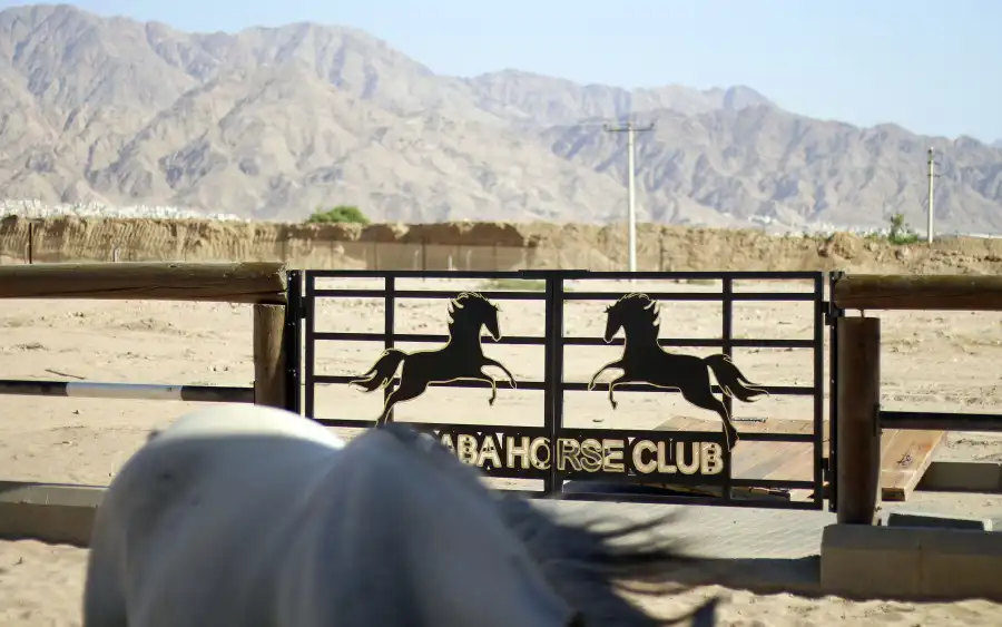 مدار الساعة,أخبار الأردن,اخبار الاردن,وكالة الأنباء الأردنية