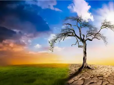 مديرة مشروع التكيف مع التغير المناخي: