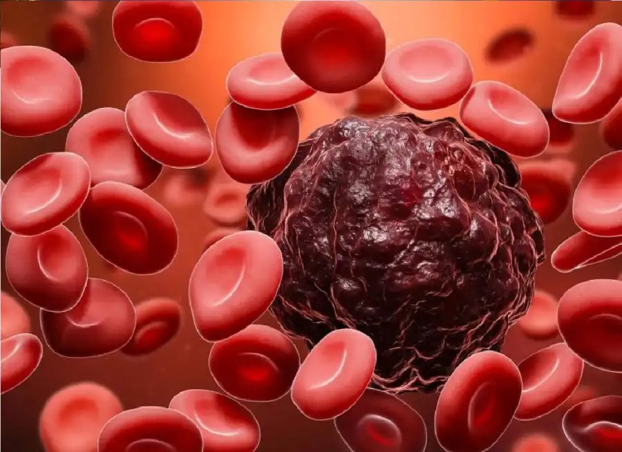 مدار الساعة,أخبار الصحة والأسرة