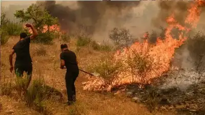 إحصائية مرعبة.. حريق كل 19 دقيقة