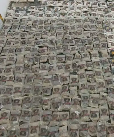 الجيش الأردني: محملة بواسطة بالونات موجهة