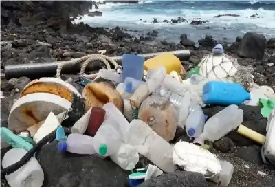 تحذر من تضاعف الأضرار الصحية للبلاستيك