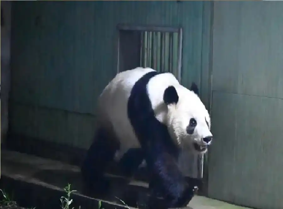 مدار الساعة,أخبار خفيفة ومنوعة